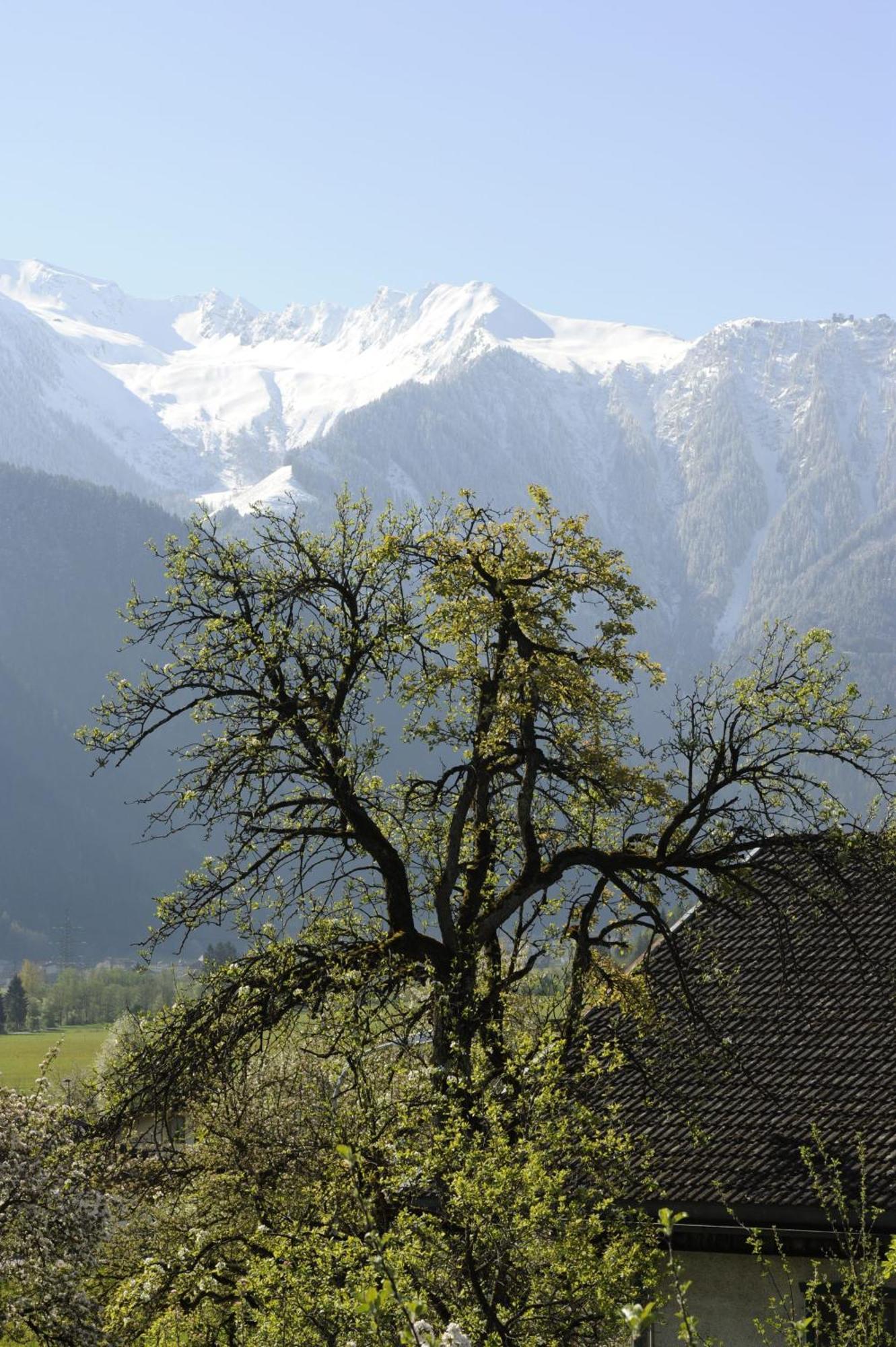 Oberstockachhof Apartamento Schwendau Exterior foto
